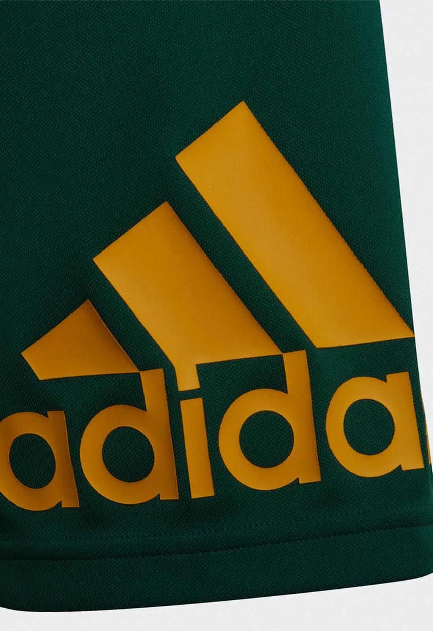 adidas Performance - Bl shorts - collegiate green & semi sold gold