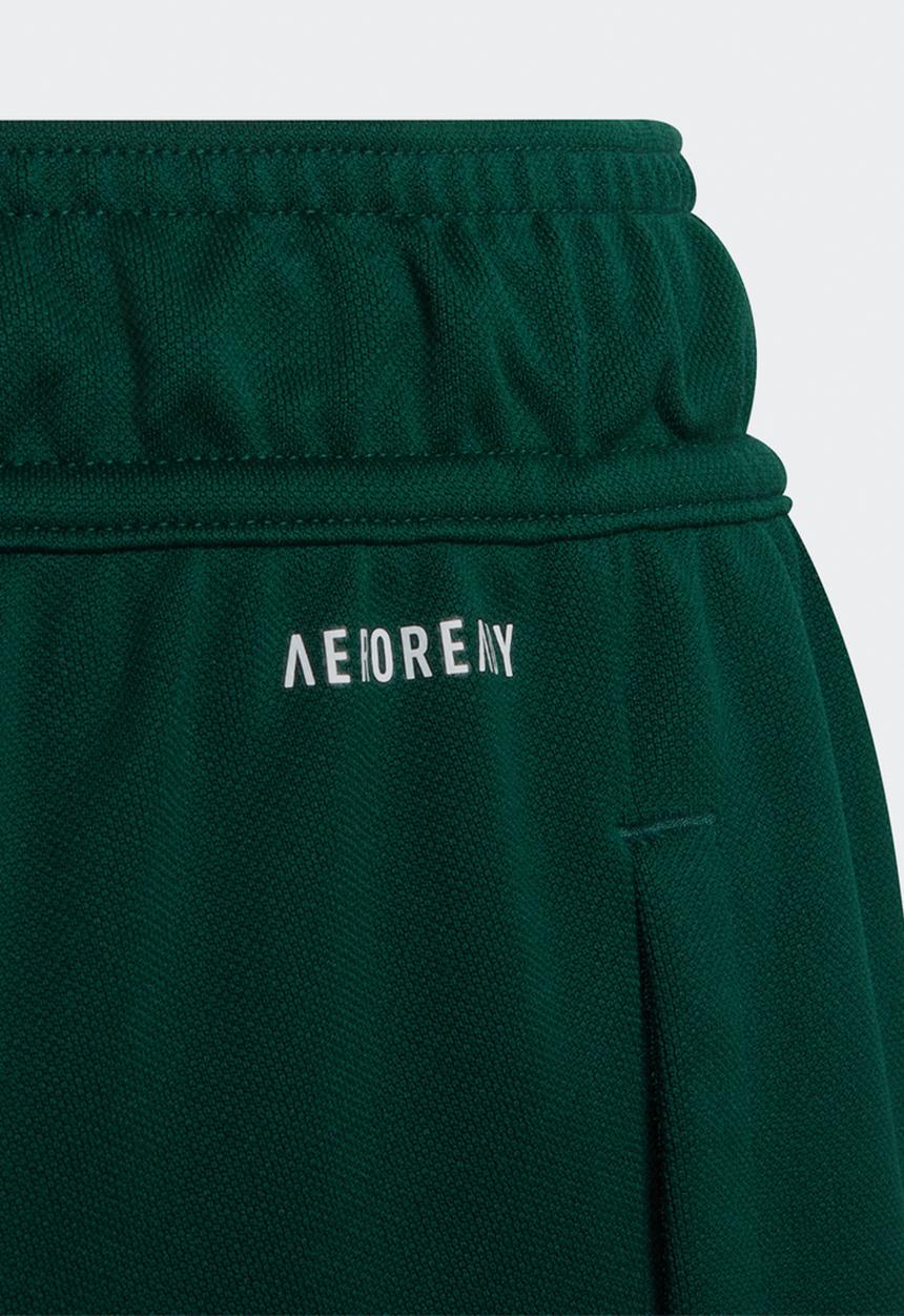 adidas Performance - Bl shorts - collegiate green & semi sold gold