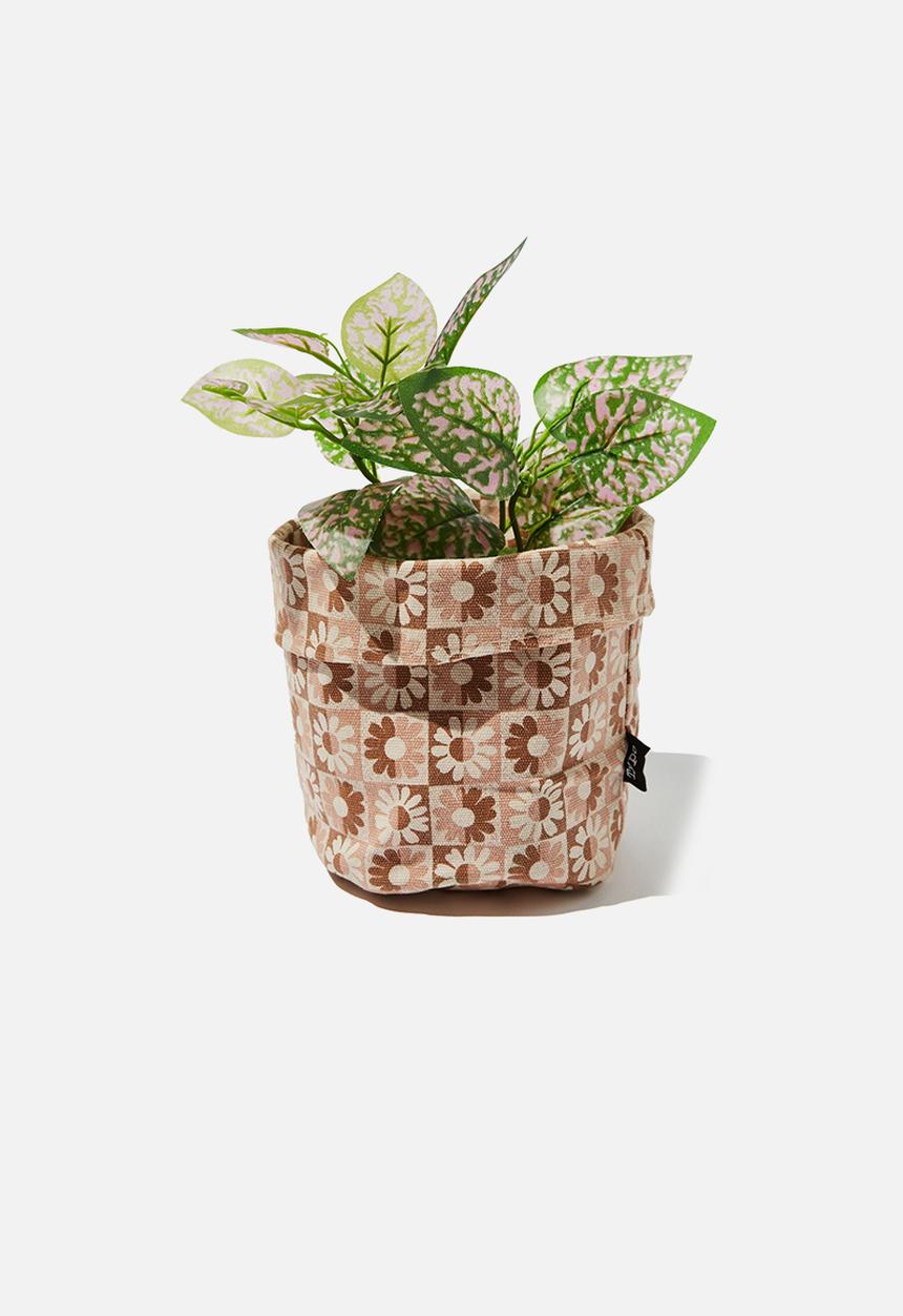 Typo - Canvas planters - checkerboard daisy clay