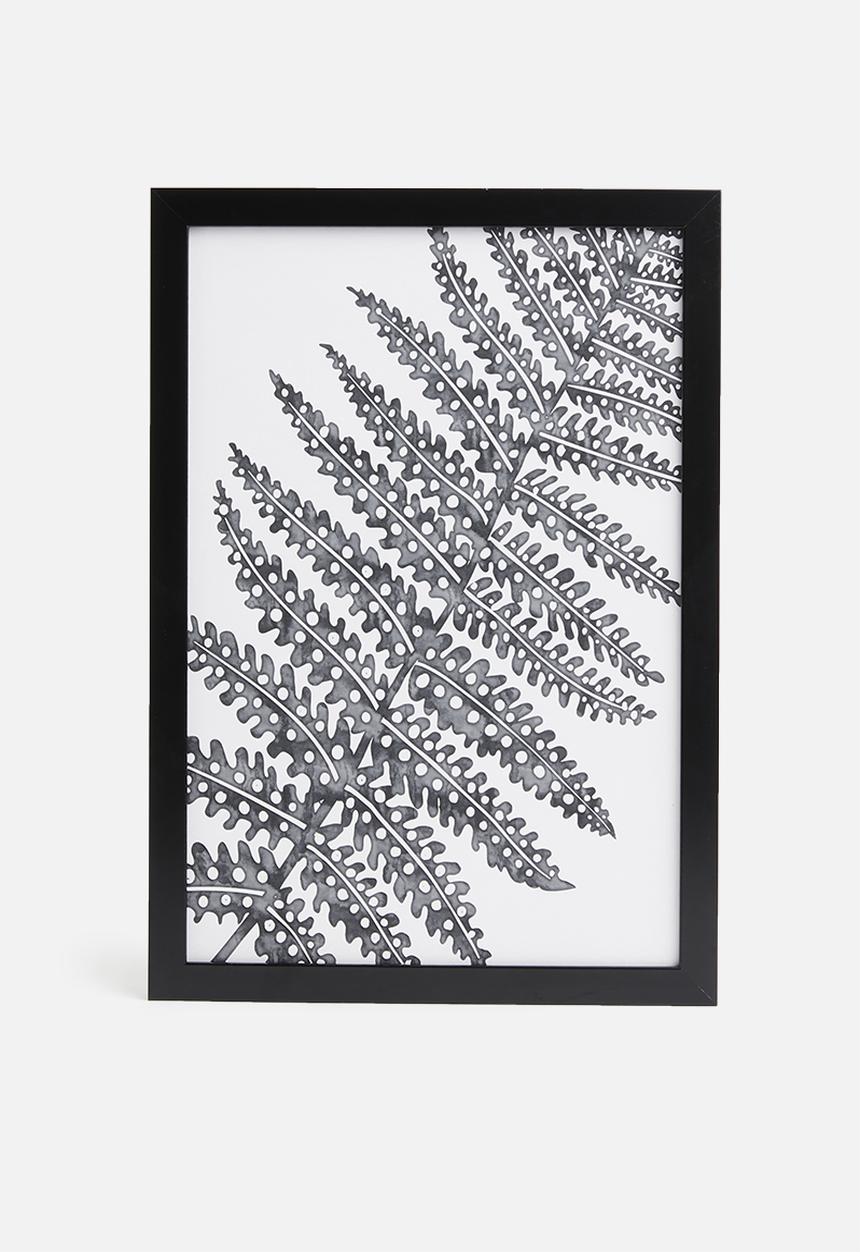 Sixth Floor - Filicophyta fern