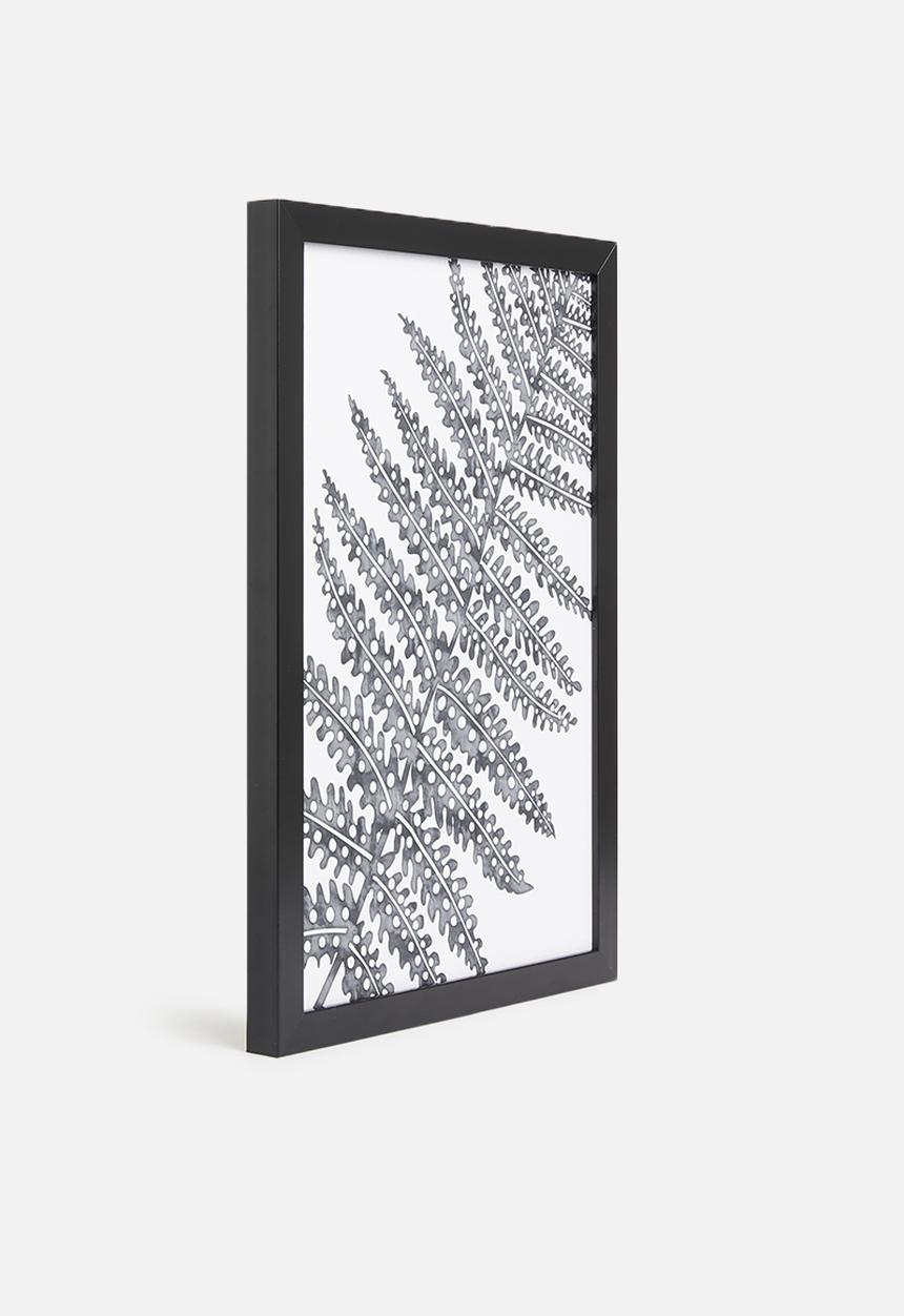 Sixth Floor - Filicophyta fern