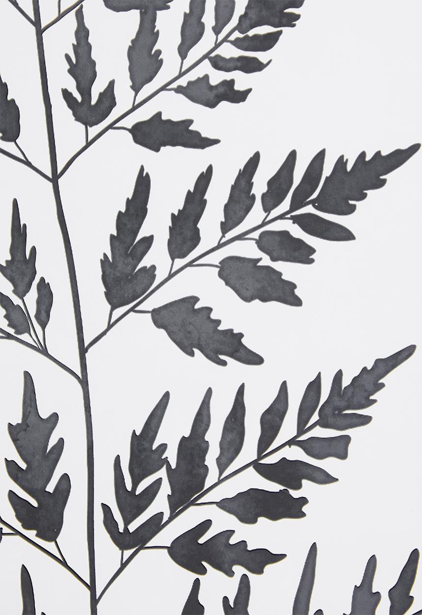 Sixth Floor - Cyathea leaf