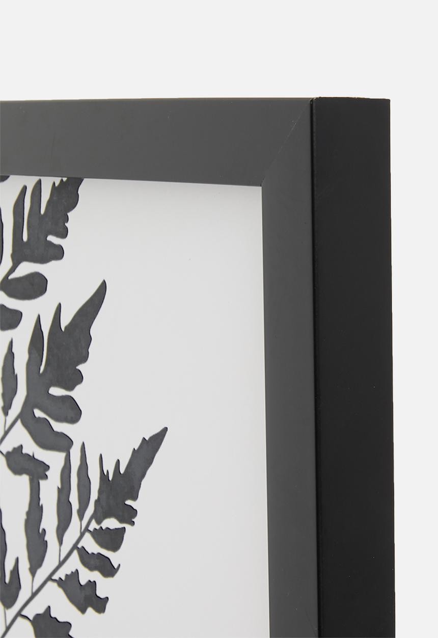 Sixth Floor - Cyathea leaf