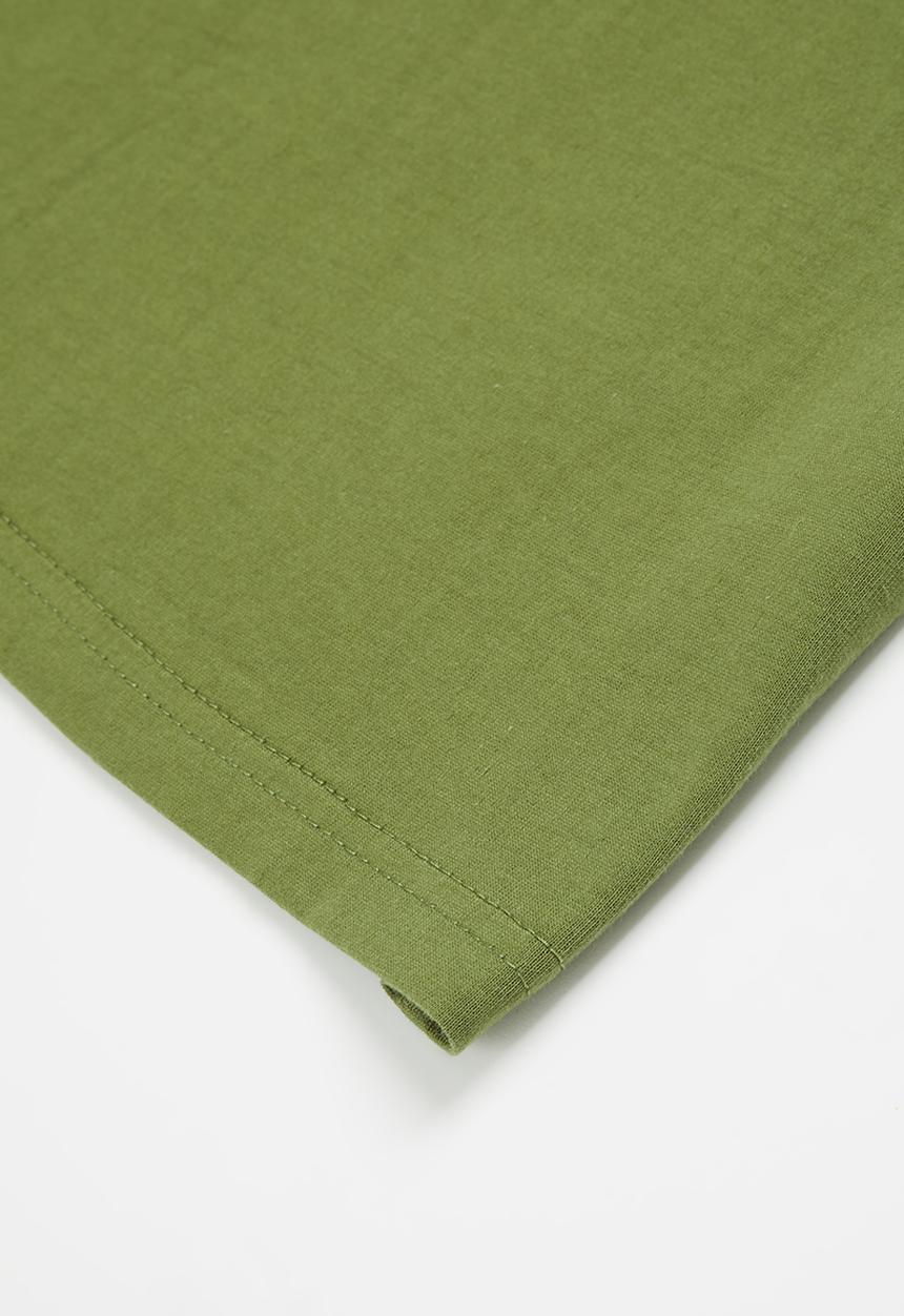 Dickies - Springhill T-shirt - olive