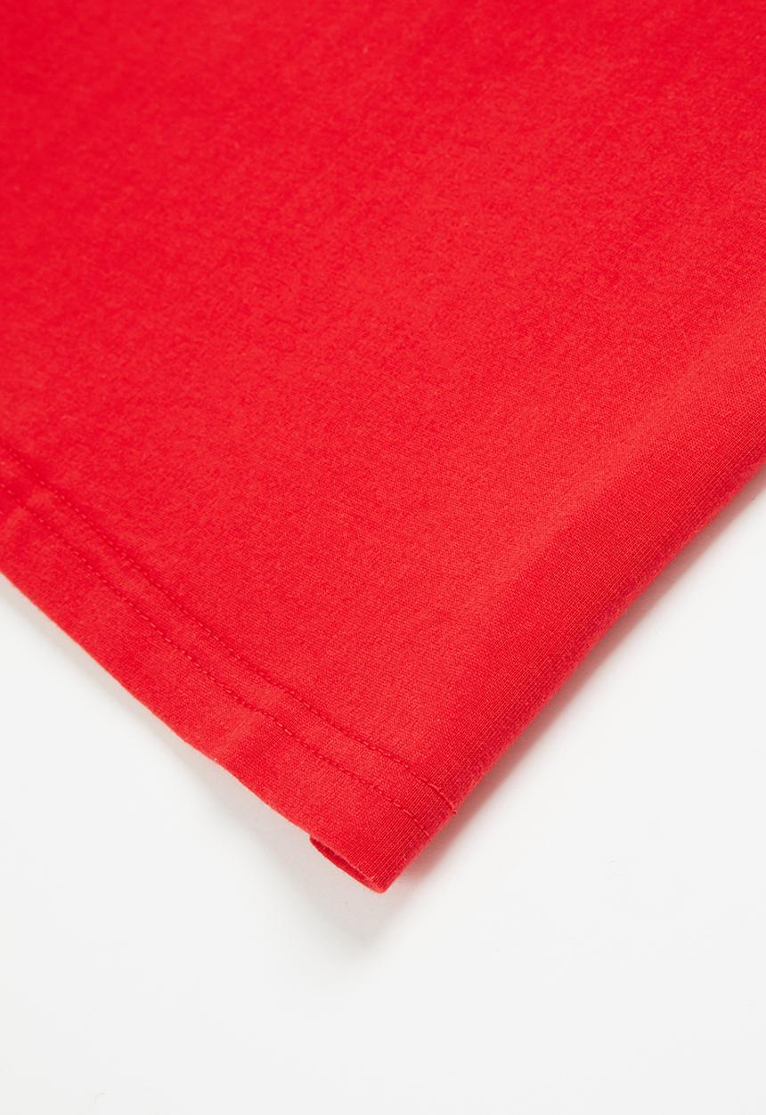 Dickies - Timberlane T-shirt - red