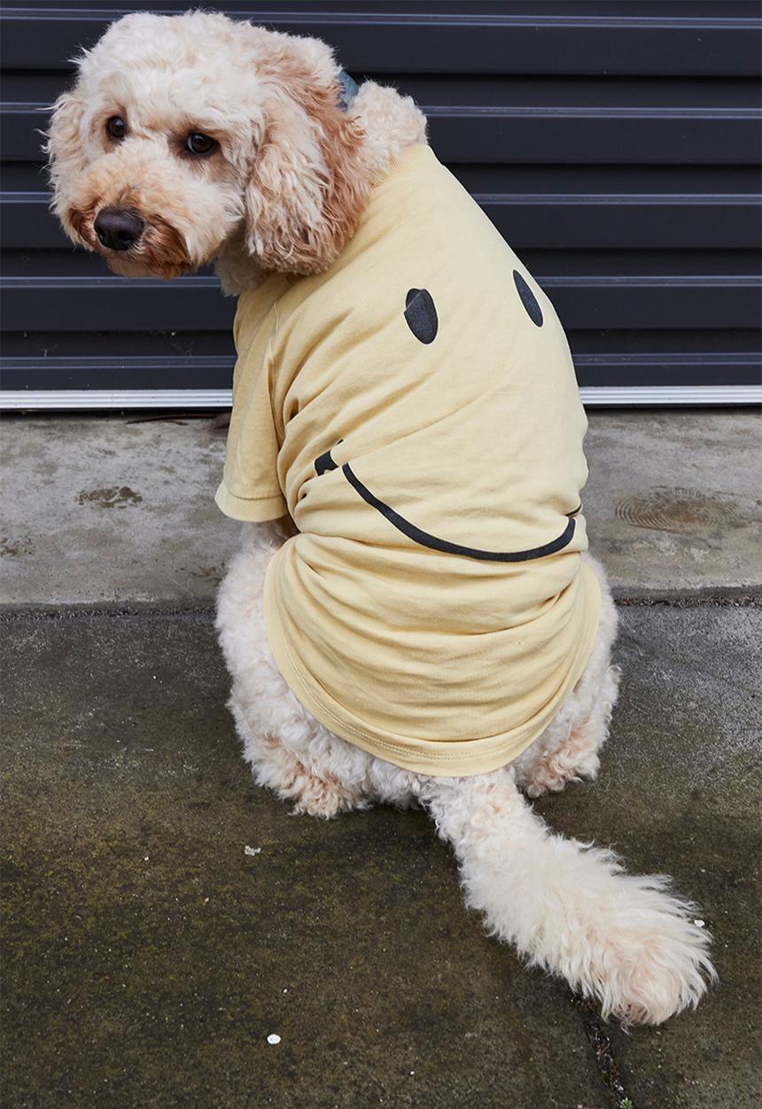 Typo - Dog tee - yellow 