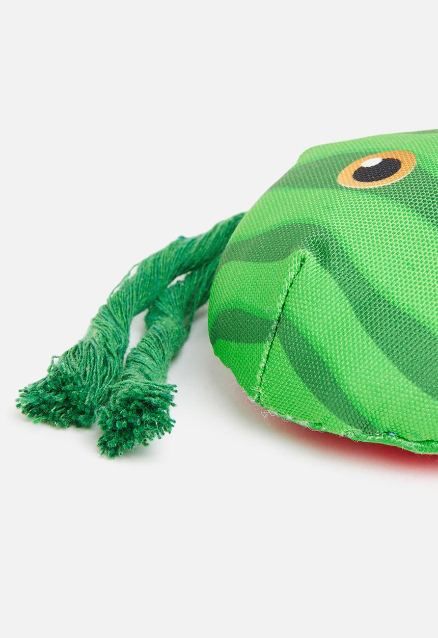 H&S - Dog toy - watermelon