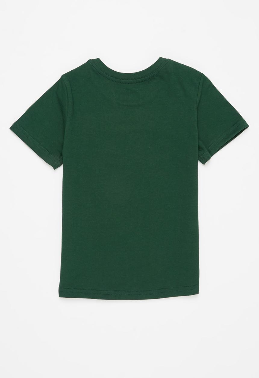 Pop Candy - Boys printed graphic t-shirt - green