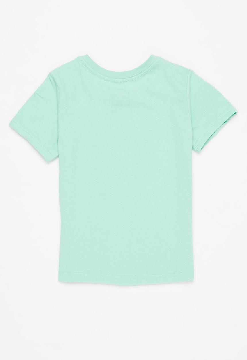 Pop Candy - Boys 2 pack graphic short sleeve t-shirt - green & mustard
