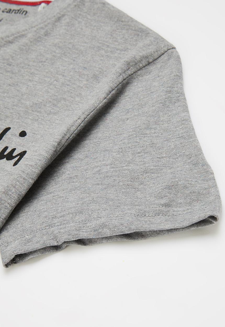 Pierre Cardin - Signature heritage v-neck - grey