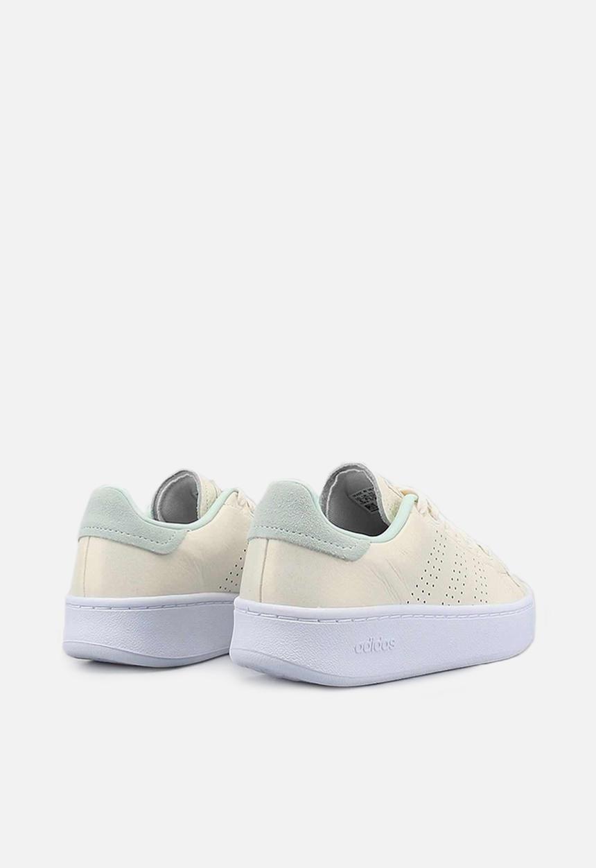 adidas Originals - Advantage bold