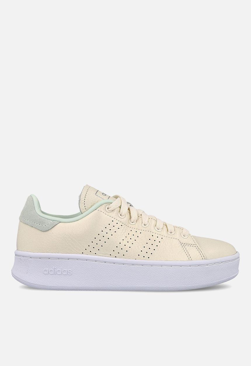 adidas Originals - Advantage bold