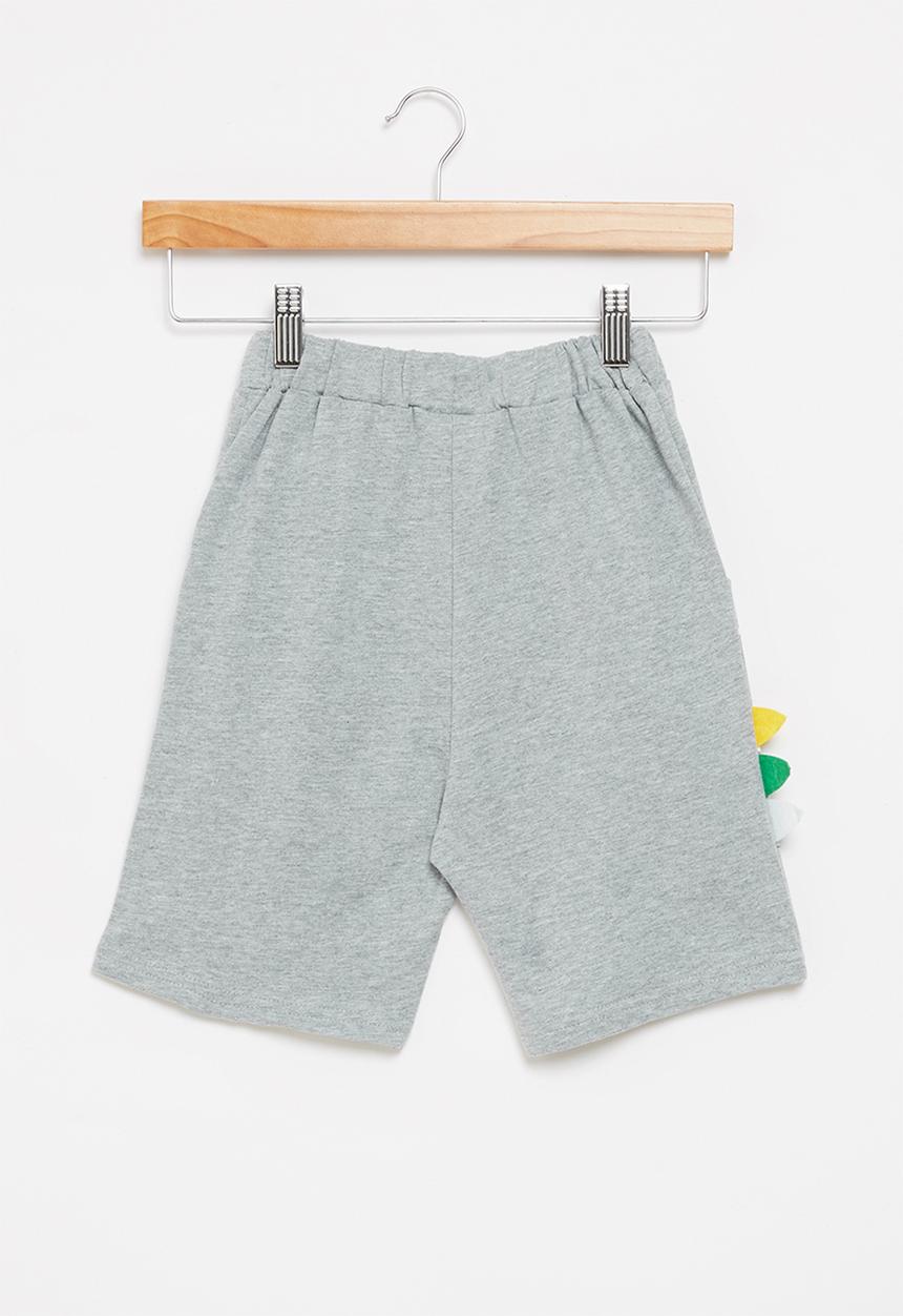 Pop Candy - Boys dino fleece shorts - grey 