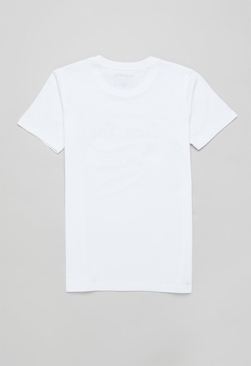 Aca Joe - Boys aca joe floral logo print t-shirt - white