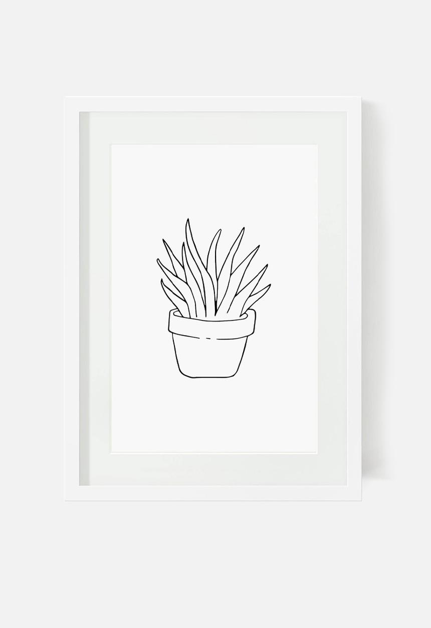 Sugar & Vice - The three amigos wall art bundle