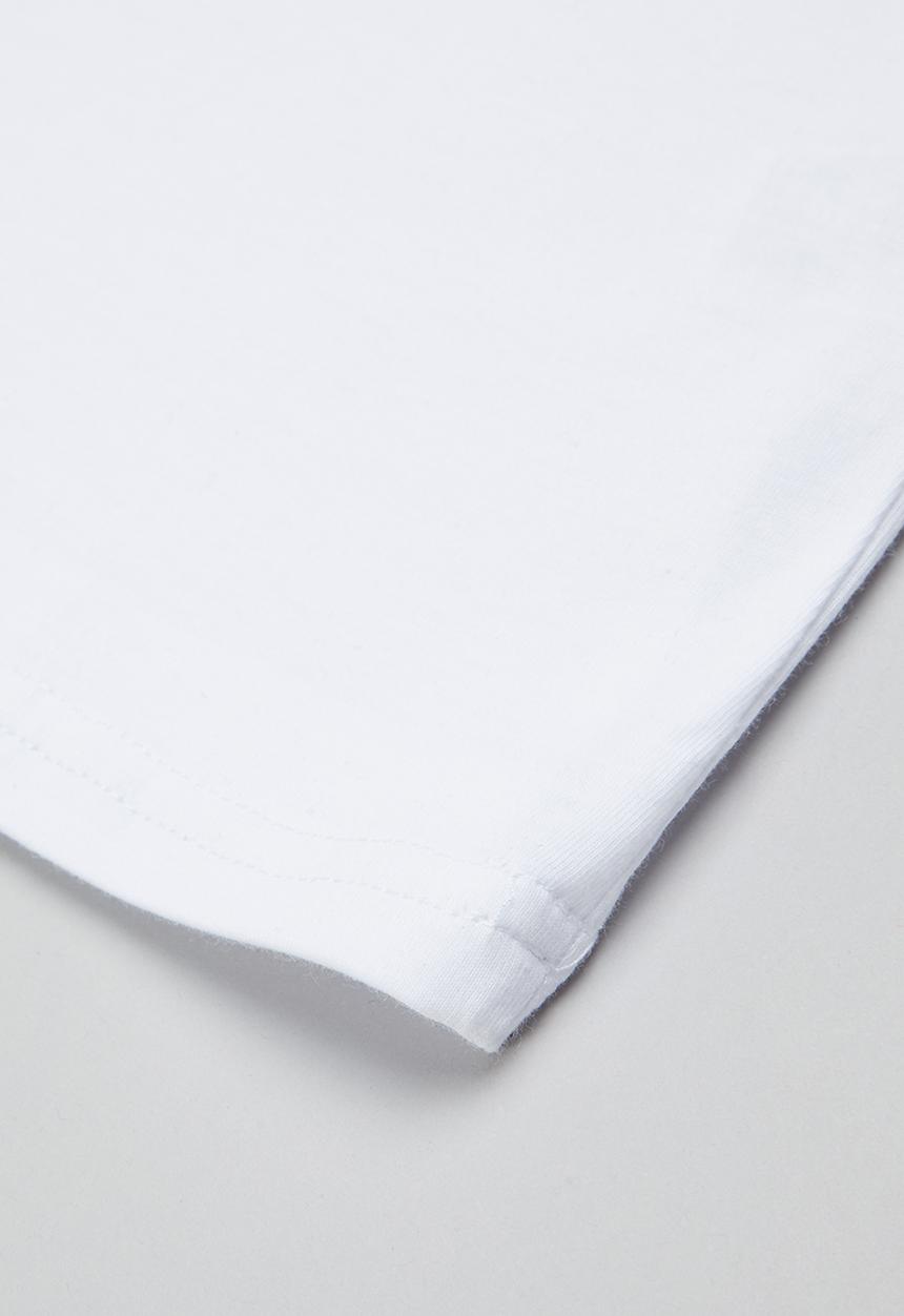 Fox - Pro circuit - white
