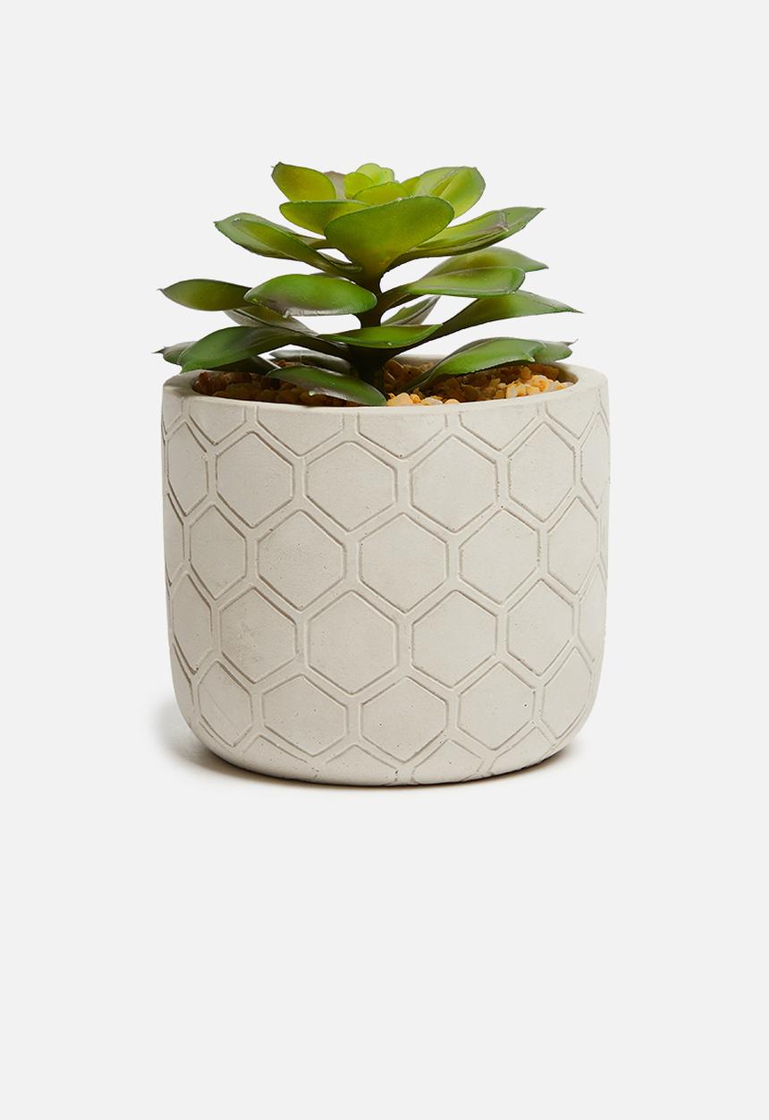 Sixth Floor - Honeycomb potted artificial succulent