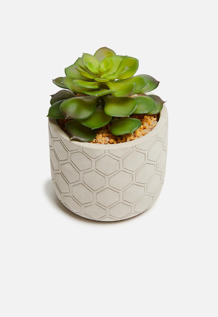 Sixth Floor - Honeycomb potted artificial succulent