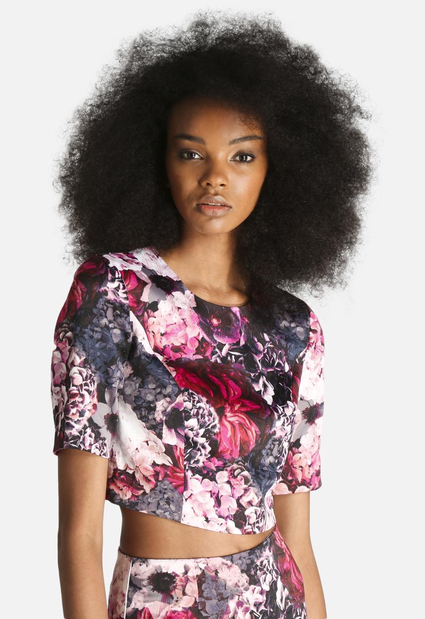 Bardot - Winter Floral Crop