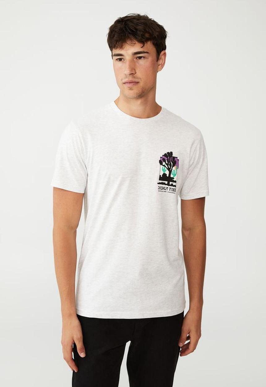 Cotton On - Tbar souvenir T-shirt - white marle/joshua tree
