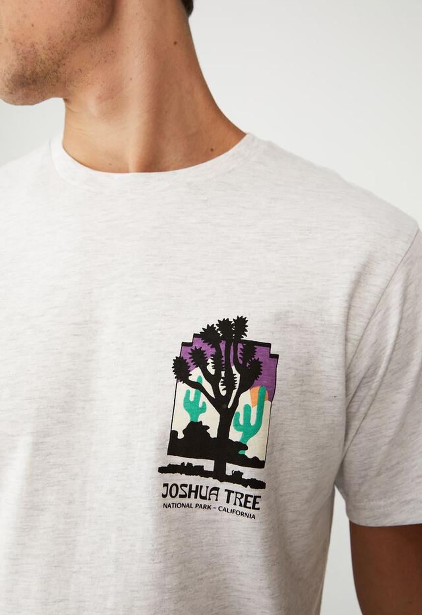 Cotton On - Tbar souvenir T-shirt - white marle/joshua tree