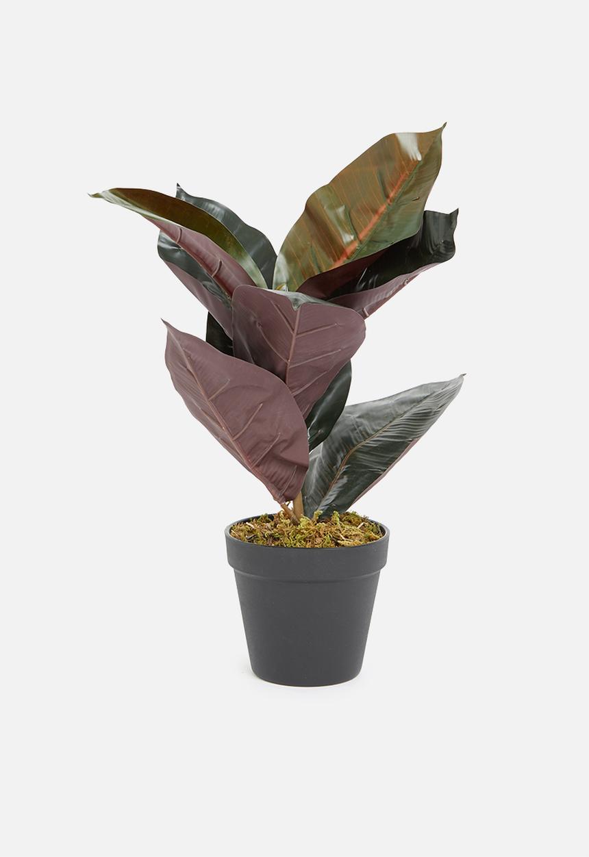 Sixth Floor - Rubber leaf artificial plant - green
