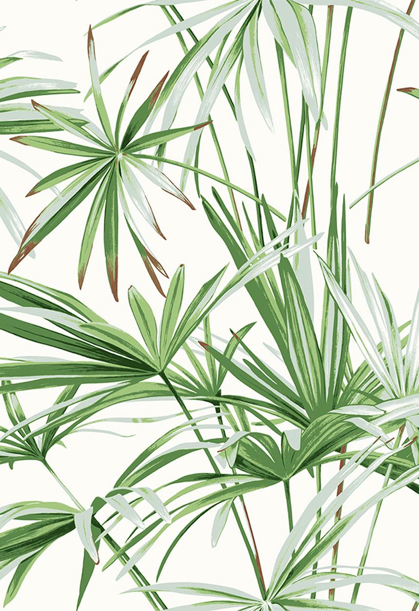 Sixth Floor - Crisp leaf printed wallpaper - green