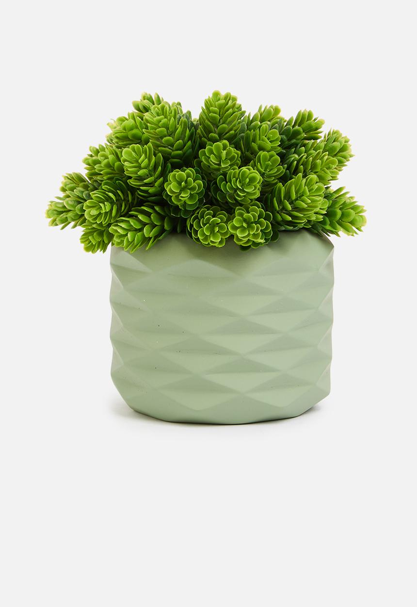 Sixth Floor - Planter - sage green