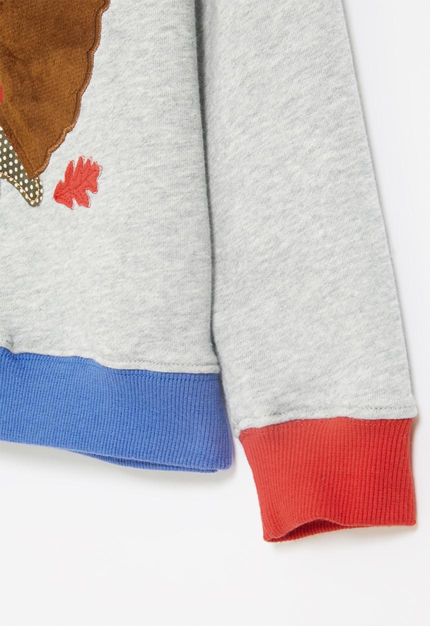Pop Candy - Boys printed sweatshirt - grey 