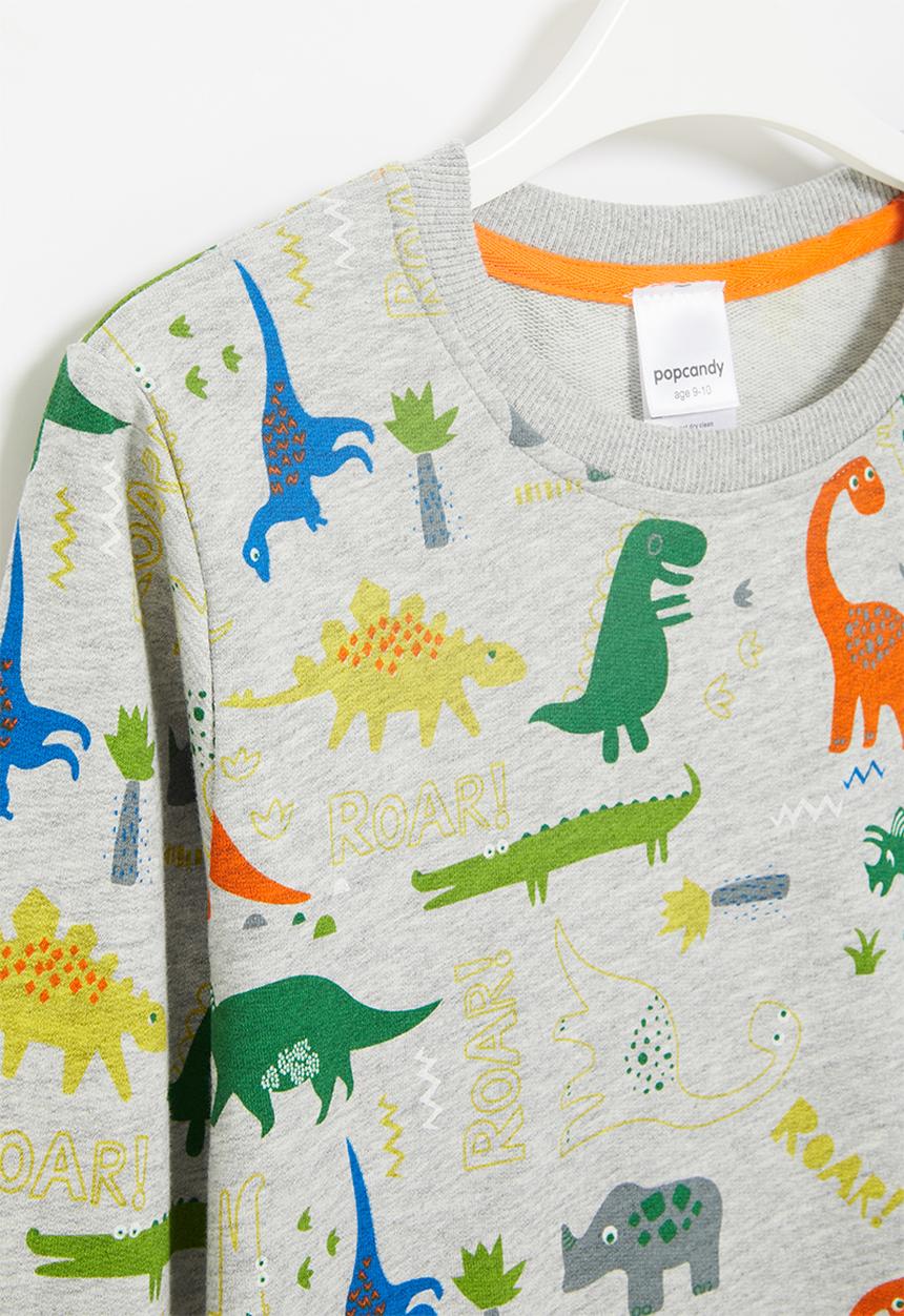 Pop Candy - Dino aop sweatshirt - grey