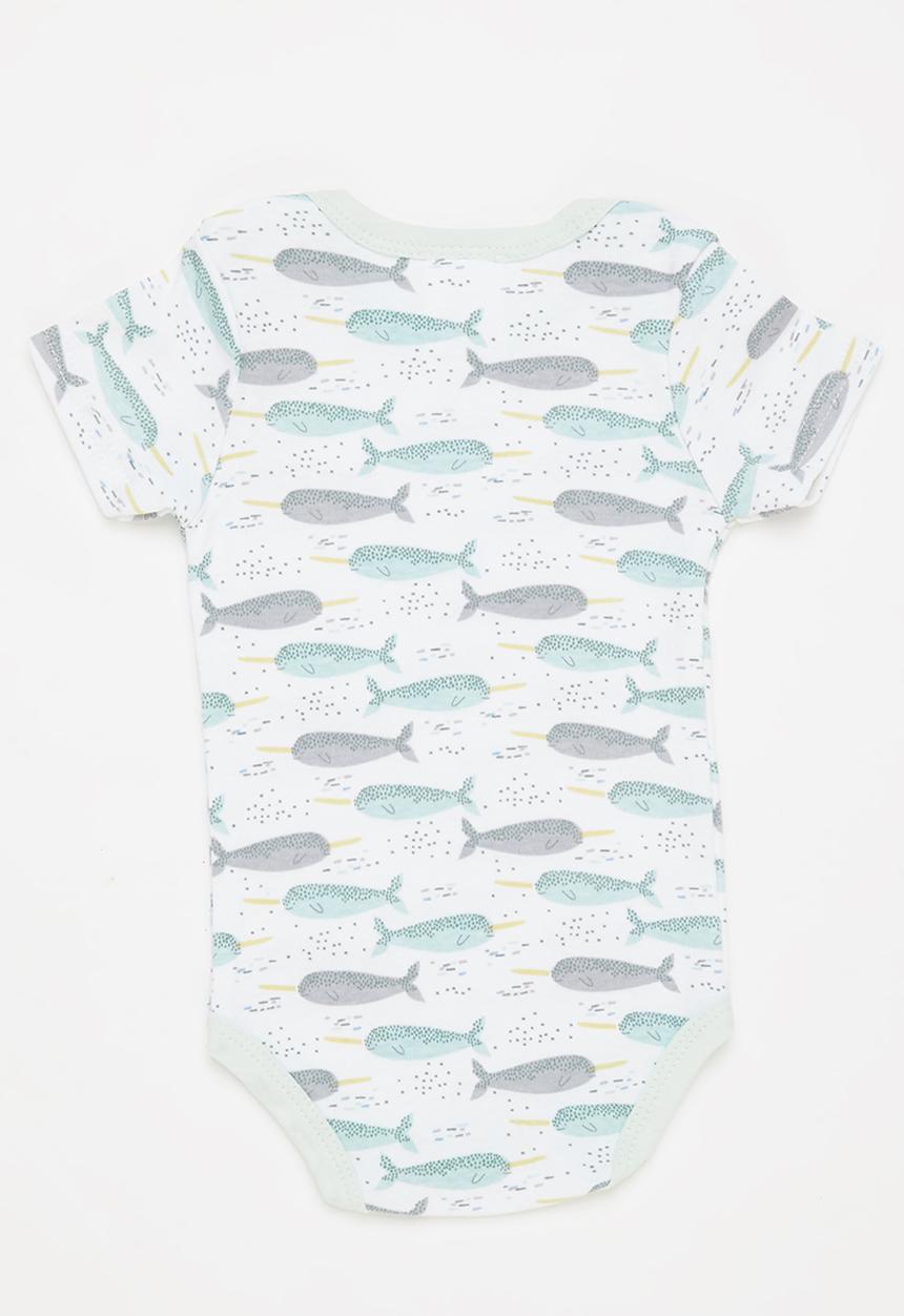 Pop Candy - Baby 3 pack fish babygrows - multi 