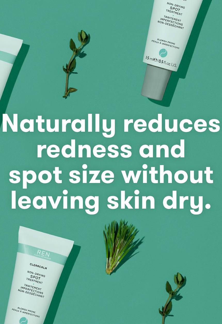 REN Clean Skincare - Clearcalm Non-Drying Spot Treatment