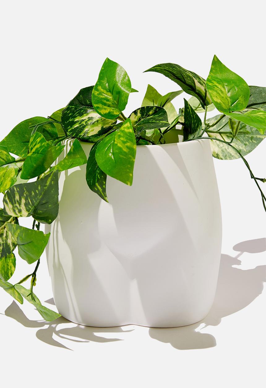 Typo - Big butt planter-white butt!