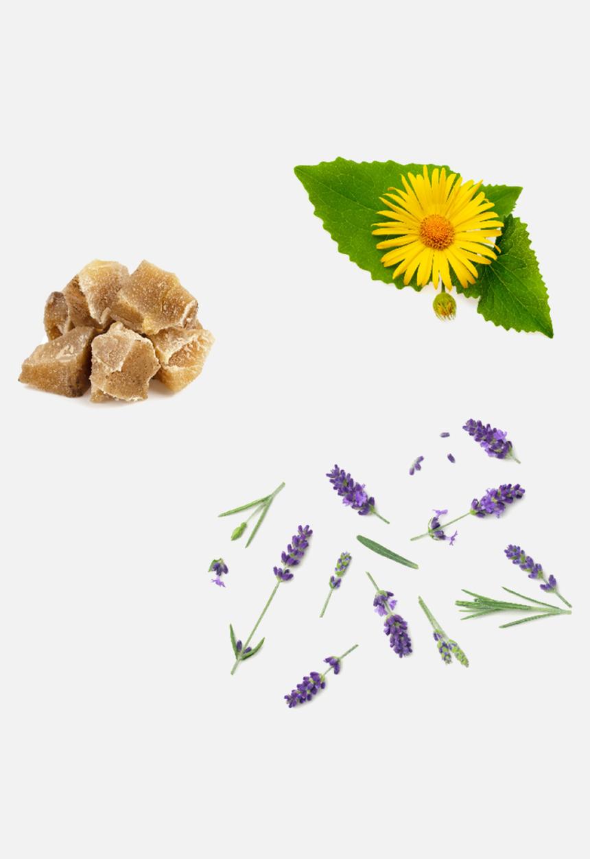 Botthms - Arnica CBD Balm