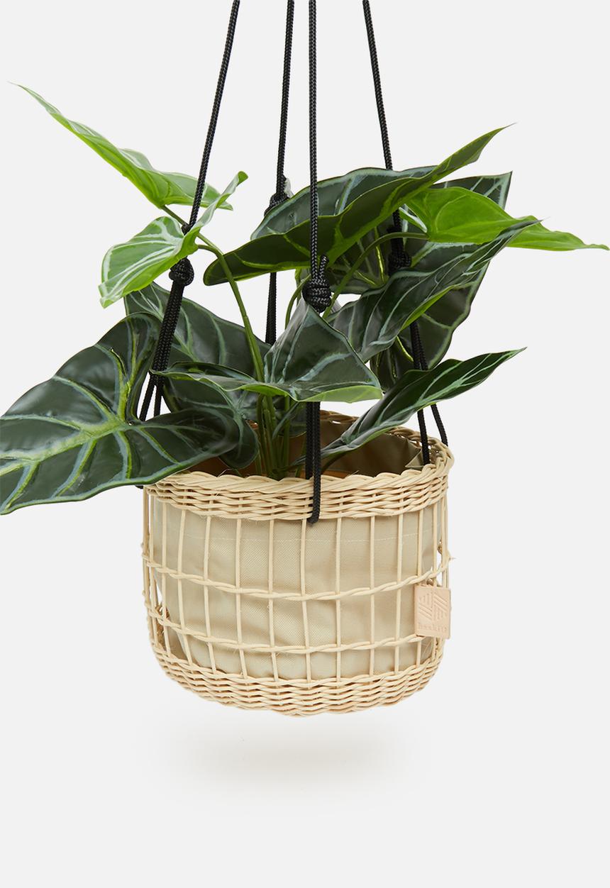 The Baskiti Co. - Ceiling planter - black