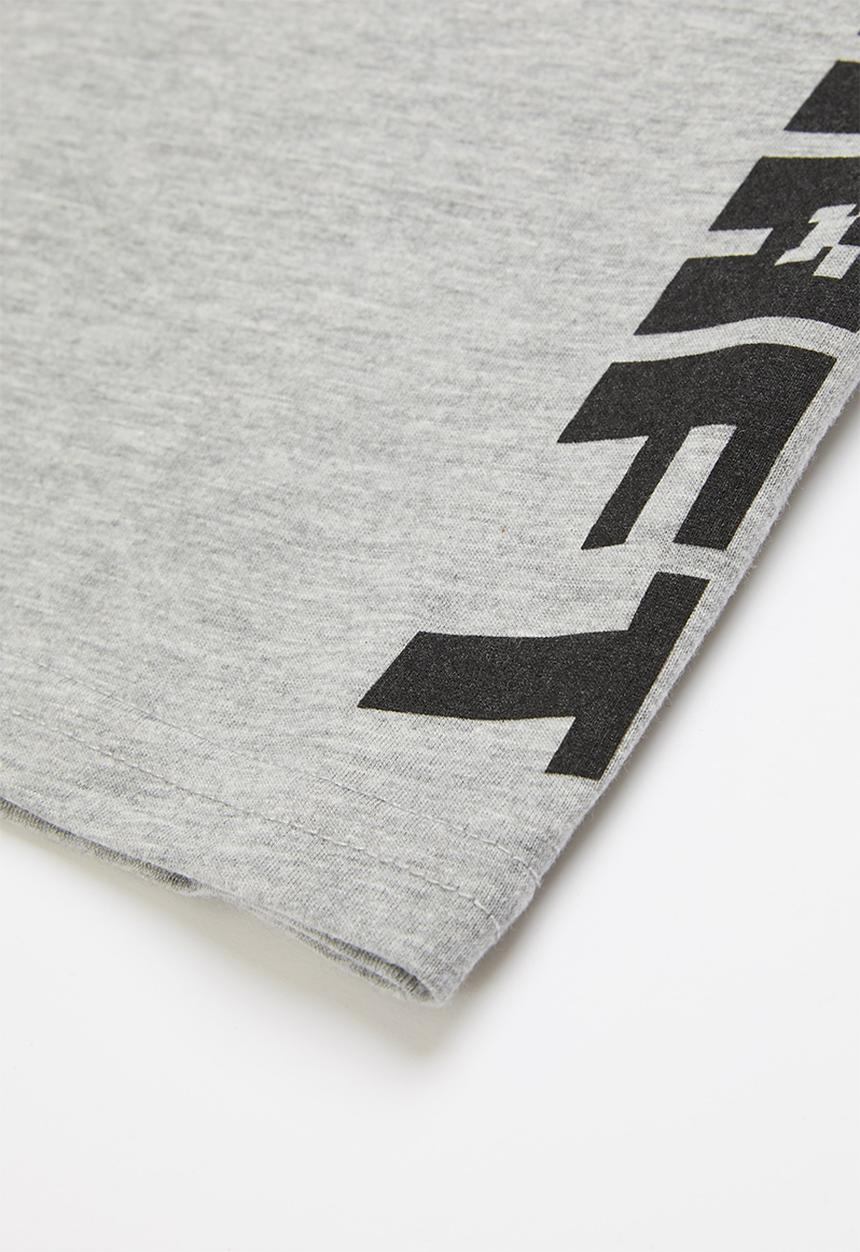 Rebel Republic - Minecraft scribbler tee - grey melange