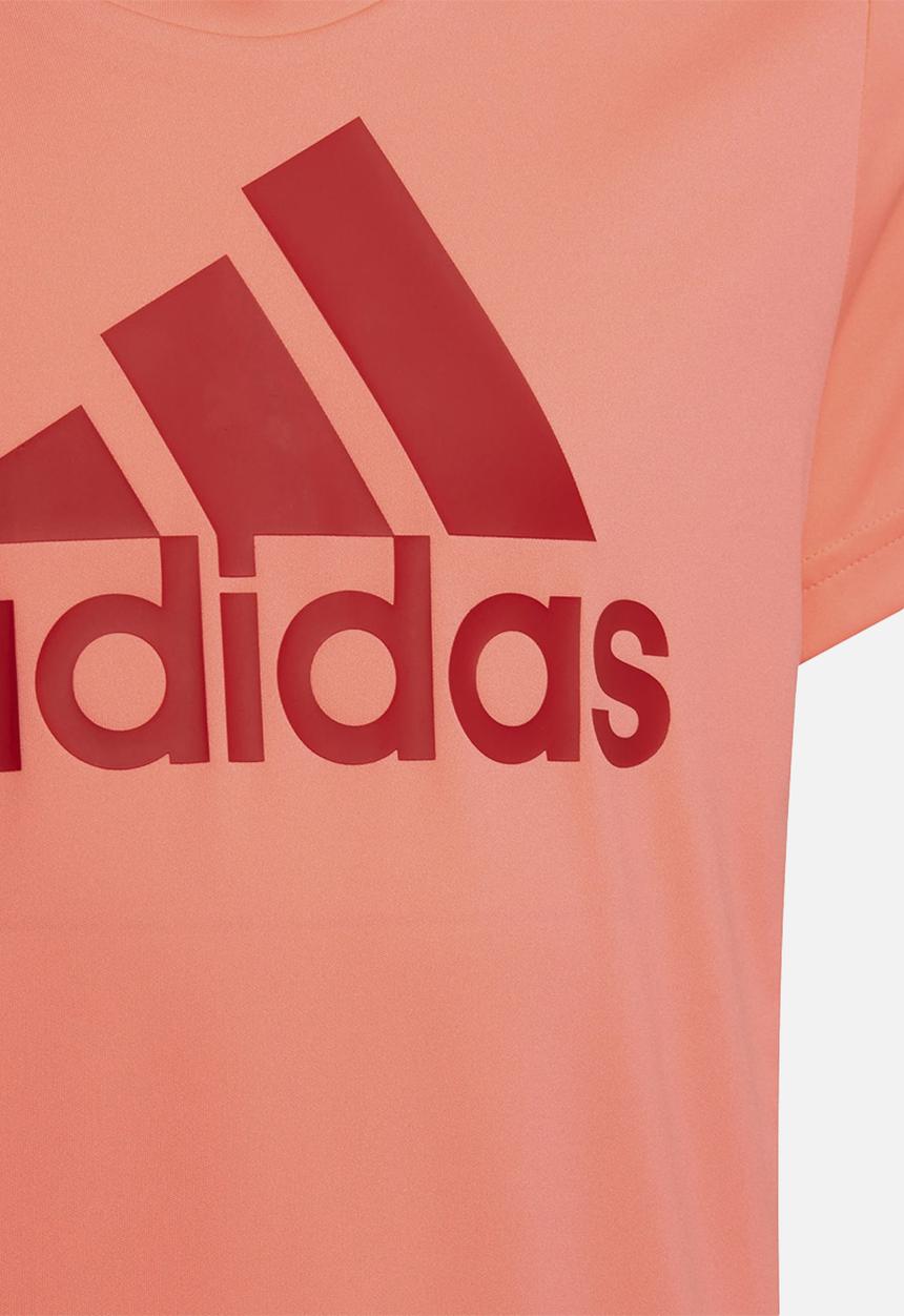 adidas Originals - G bl tacid - red/vivid red