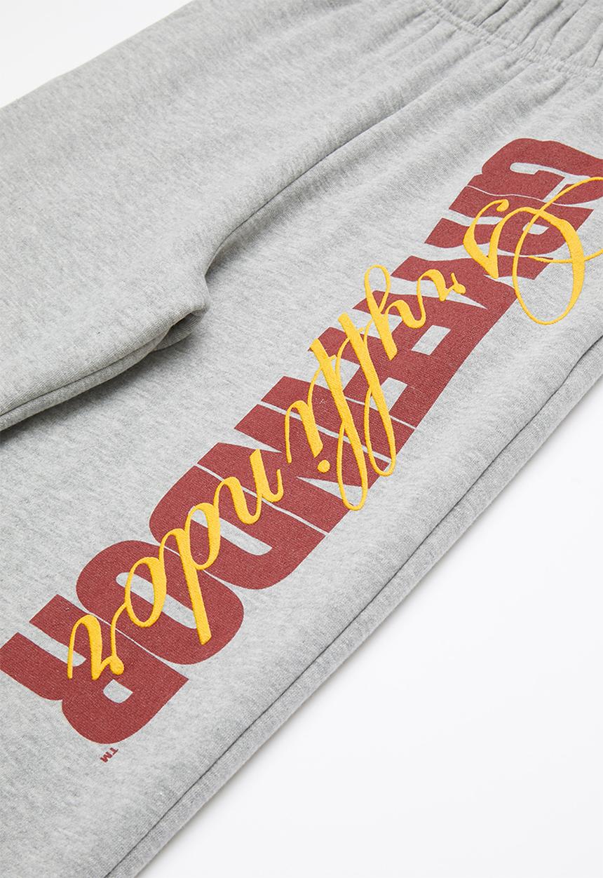 Superbalist - Harry Potter trackpants - grey