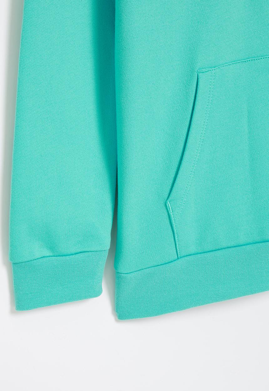 adidas Originals - G bl ft hoodie - semi mint rush