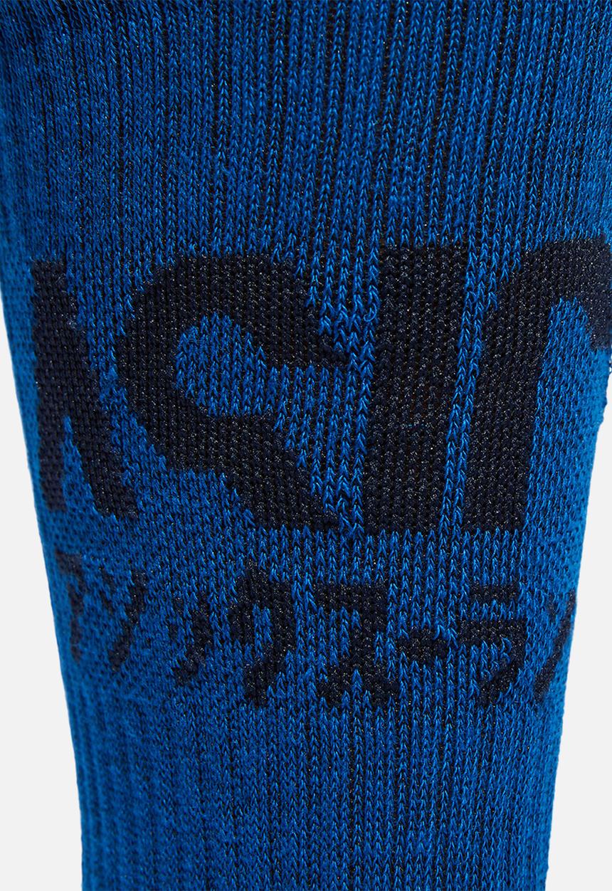 ASICS - 2-Pack katakana sock - french blue & lake drive