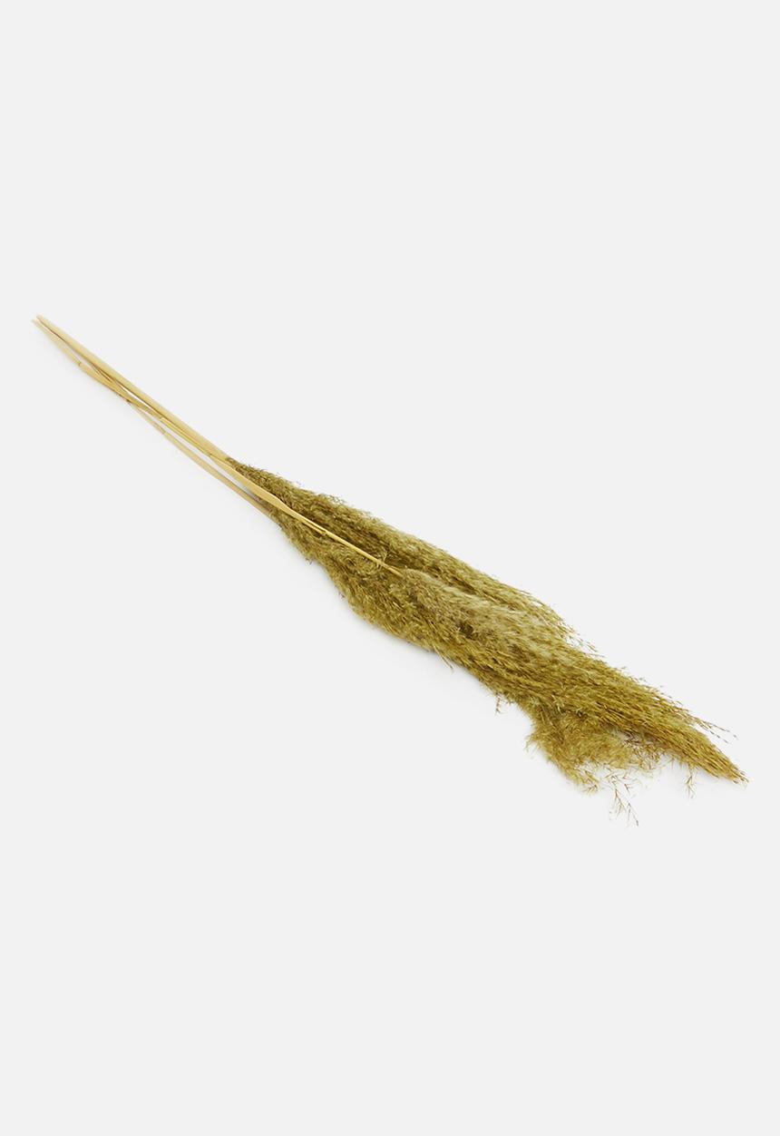 H&S - Pampas flowers - gold yellow