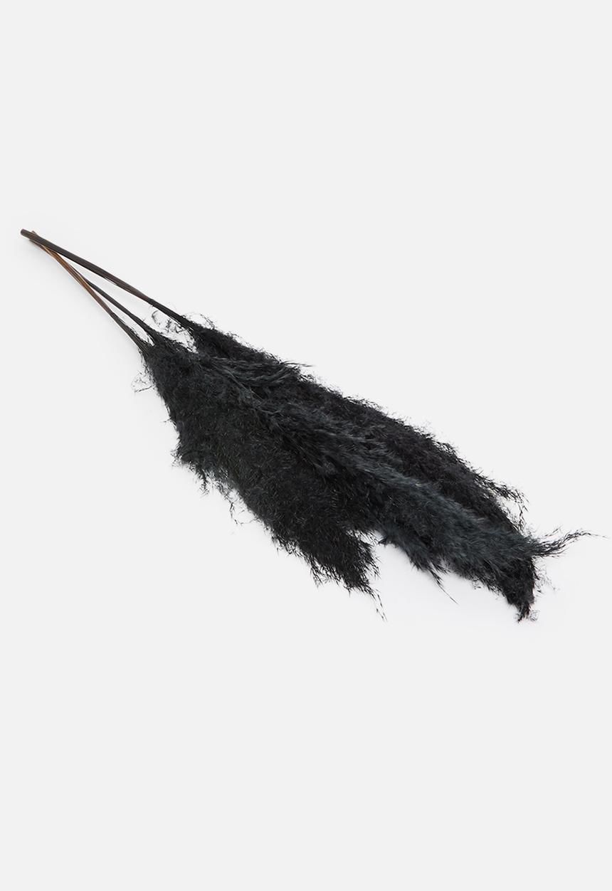 H&S - Pampas flowers - dark grey