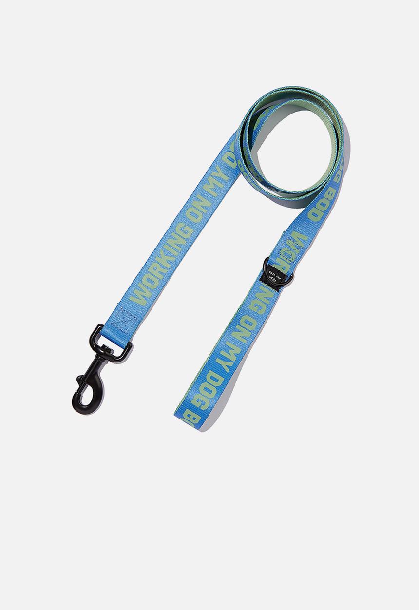 Typo - Pet club dog lead- skyscraper & heritage green 