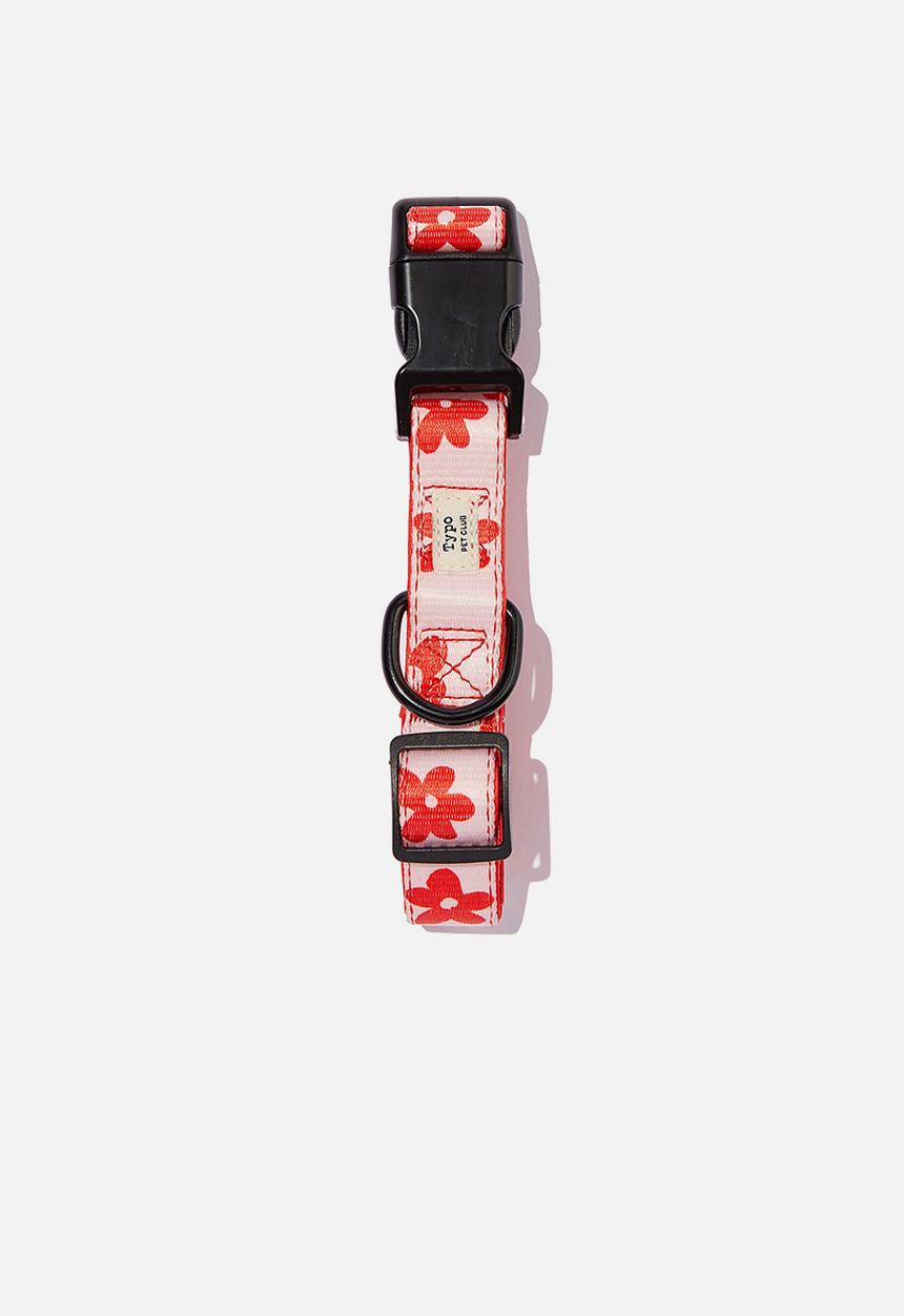 Typo - Pet club dog collar - whisper pink 
