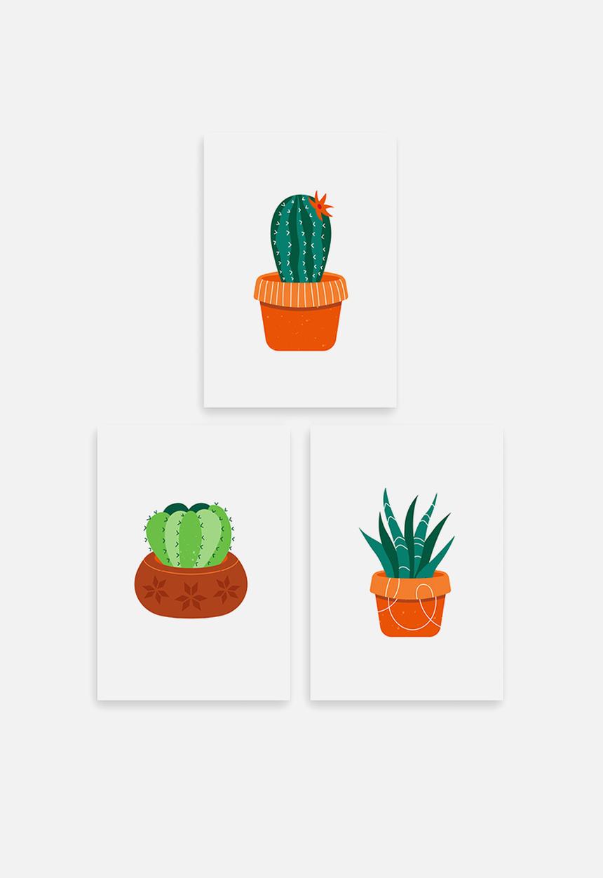 Sugar & Vice - Colour cactus wall art