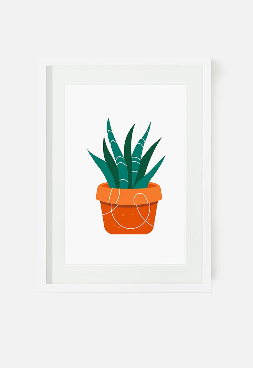 Sugar & Vice - Colour cactus wall art