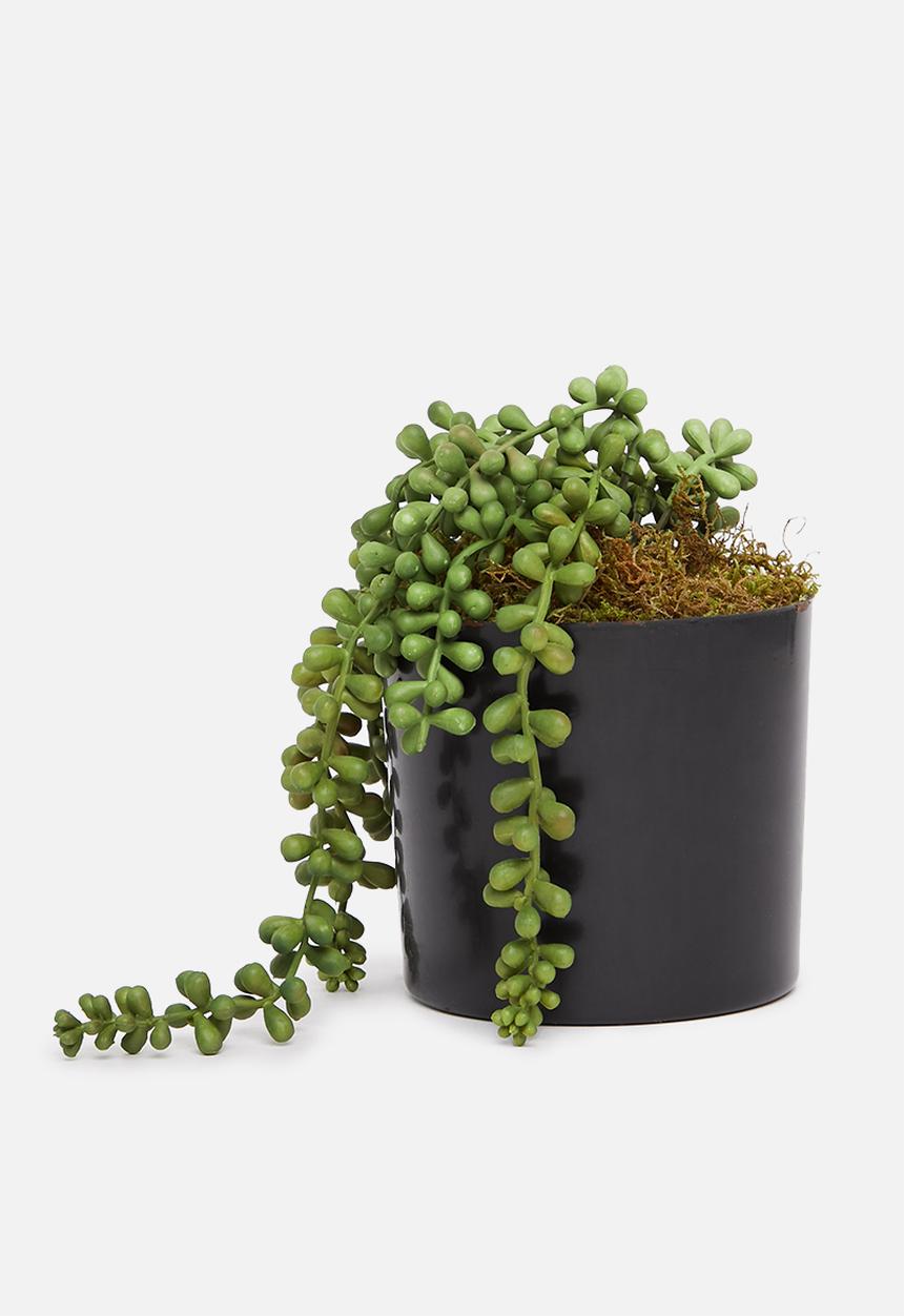 Silk By Design - Sedum hanging artificial bush - plastic black pot
