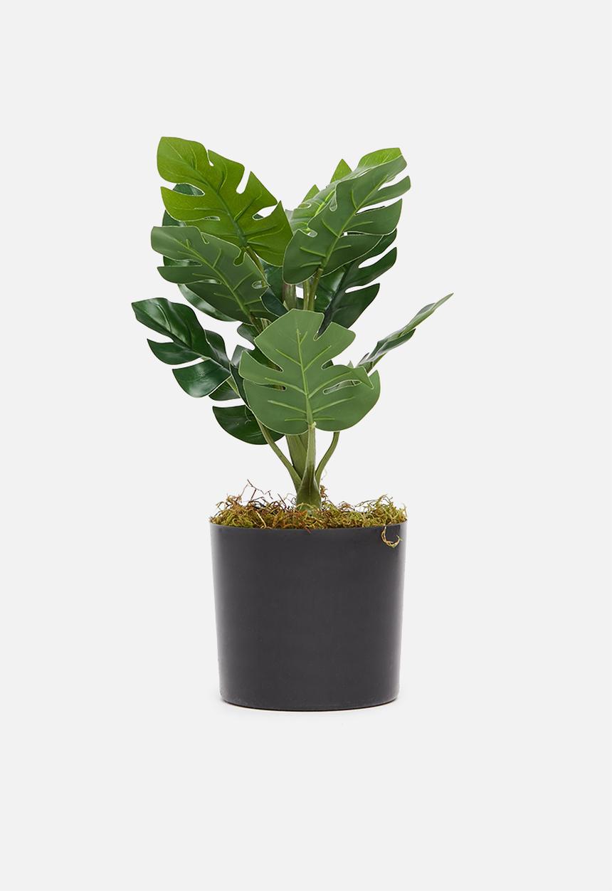 Silk By Design - Monstera artificial leaf bush - plastic black pot