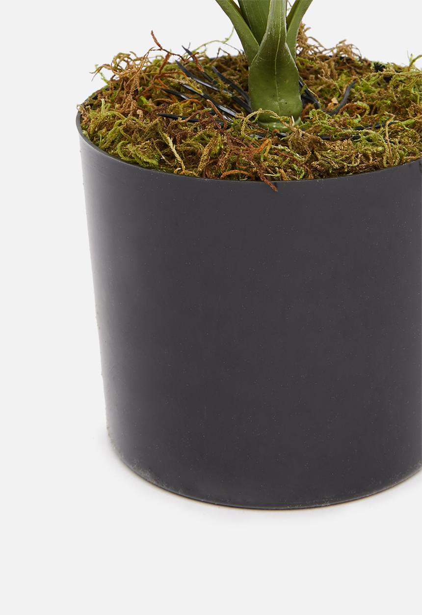 Silk By Design - Monstera artificial leaf bush - plastic black pot