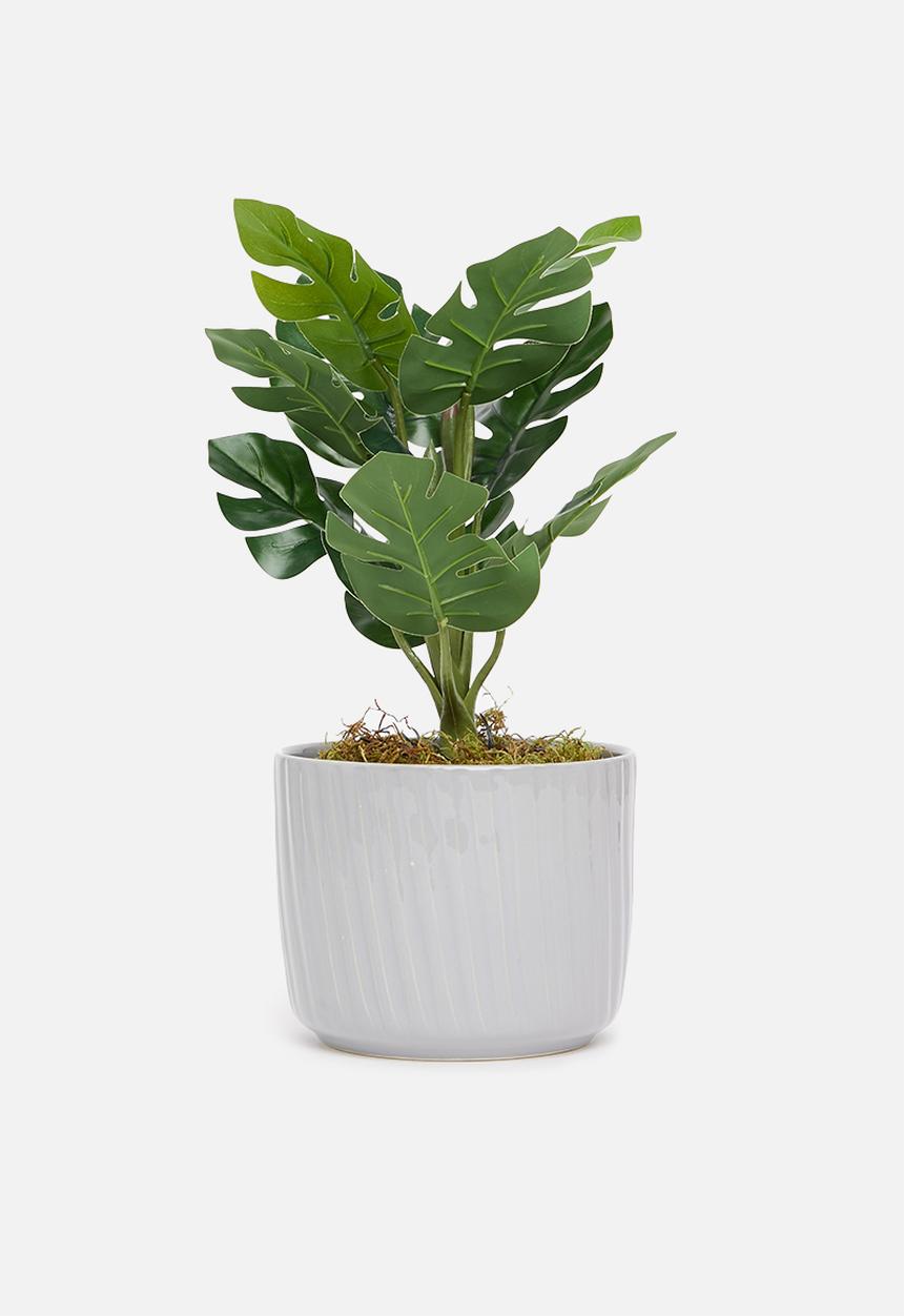 Silk By Design - Monstera artificial leaf bush - plastic black pot